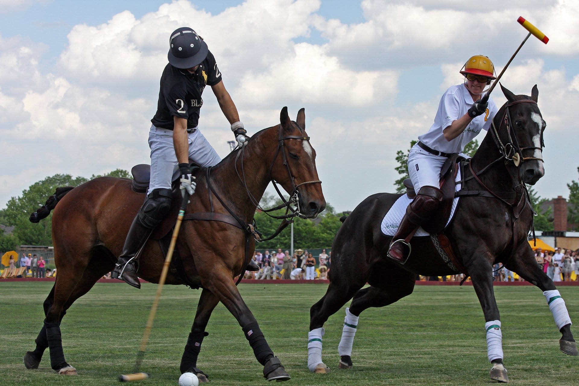 Polo match with two Argentine polo players on horses with mallets.