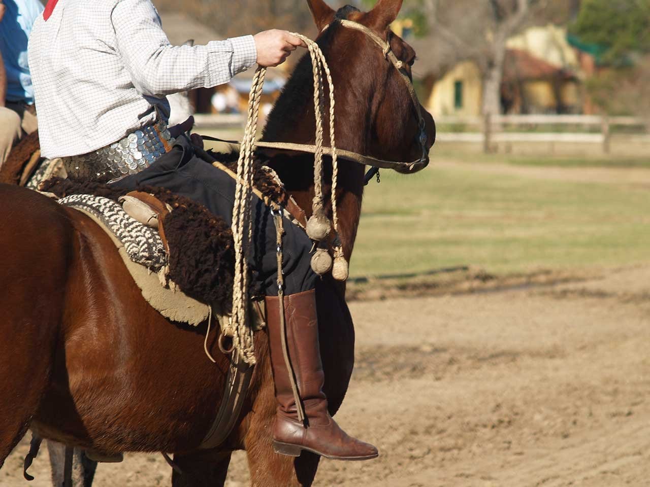 Gaucho on horse with boleadoras.