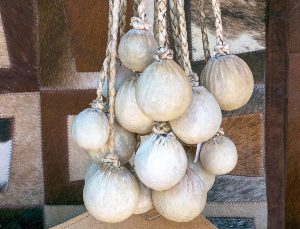 Multiple rawhide boleadoras hanging from wooden beam.