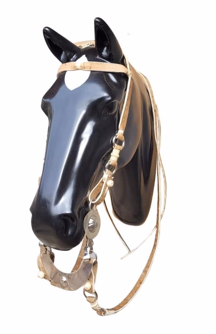 Rawhide Leather Bridle and Collar Set - Image 4
