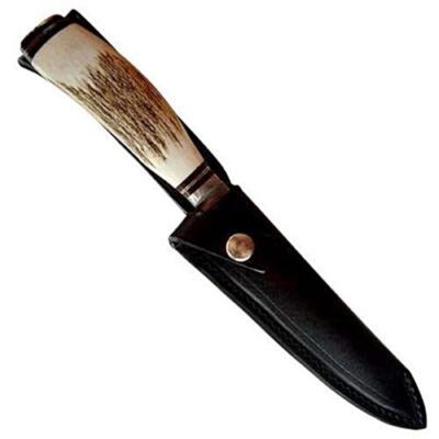 Natural staghorn gaucho knife, fixed blade, stainless steel.