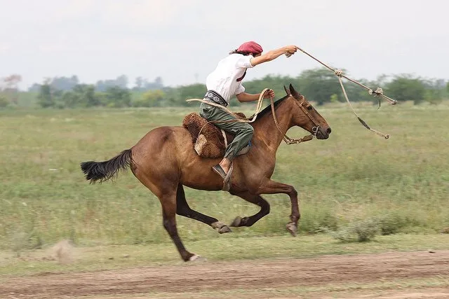 THE SOUTH AMERICAN COWBOY, AKA ‘GAUCHO’ USING A BOLAS TO ROPE A STRAY CALF.
