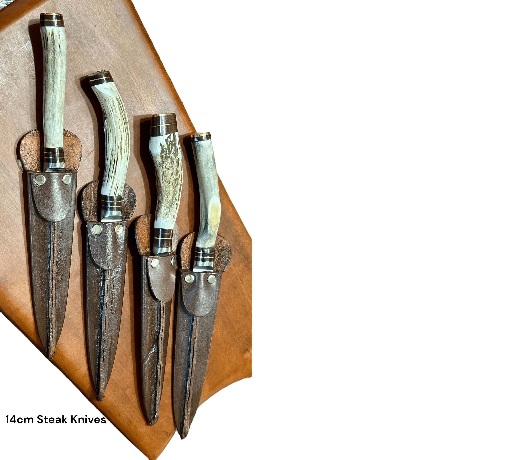 Handmade Stag Horn with Brass Accents, Gaucho Knife - Image 6