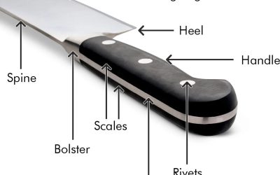 Anatomy of a Knife: Understanding Its Essential Parts