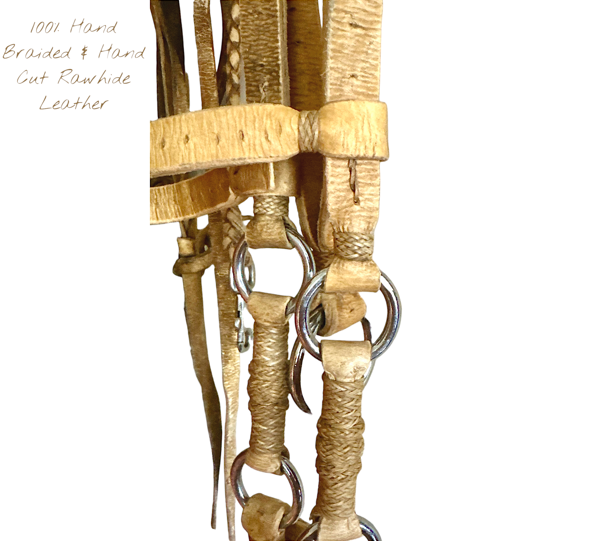 DR-80-RH_HeadStall-Collar