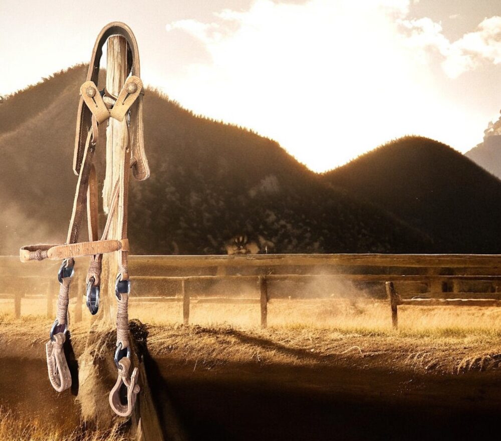 DR-80RH.HeadStall-CollarFull View-Photoroom