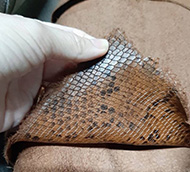 leather hide