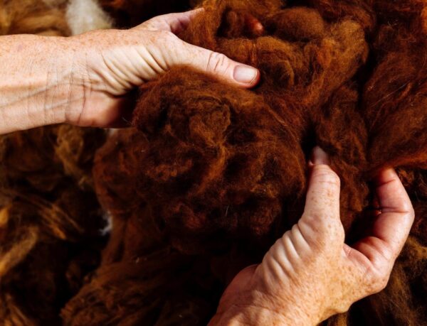 100% GENUINE, EXTRA FINE ALPACA WRAP or SOFA THROW - ET-Q/3360-TnS - Image 2