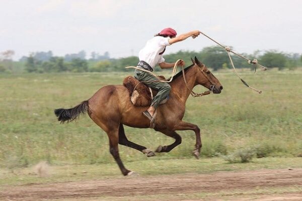 AUTHENTIC, FULL-SIZE GAUCHO BOLEADORES HAND CRAFTED IN ARGENTINA! - Image 4