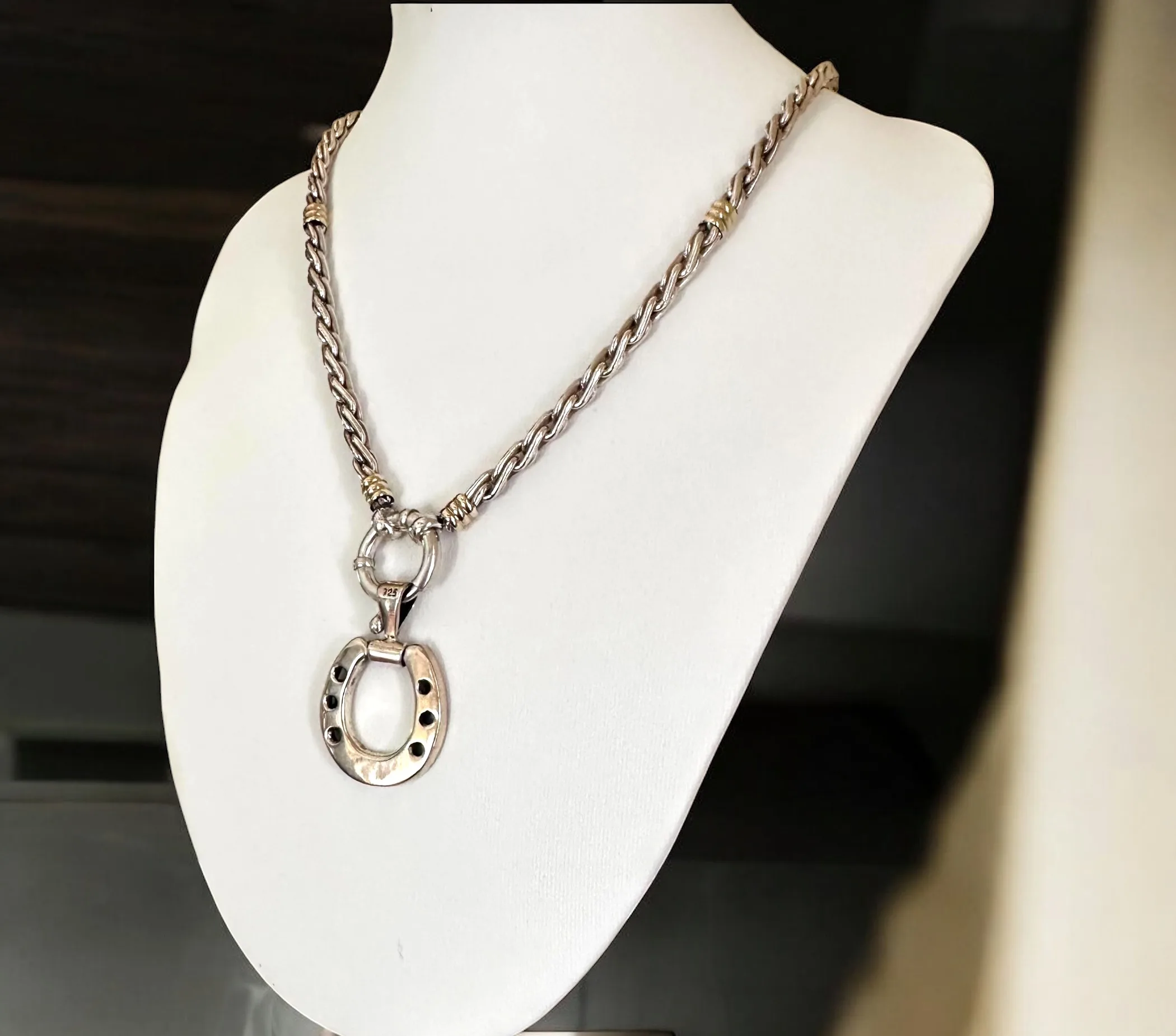 Horseshoe 3-Dimensional, Reversable Pendant