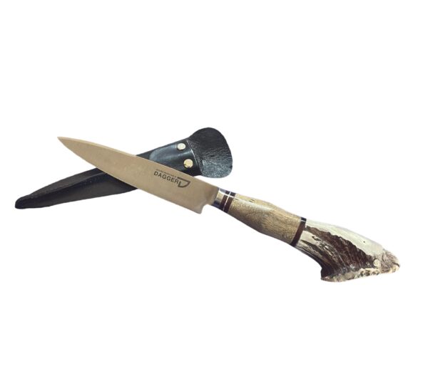 Authentic, Handmade Rugged Gaucho Knife with Genuine Staghorn Handle and Argentine Walnut Hardwood Handle and Stainless Steel Blade - Image 2