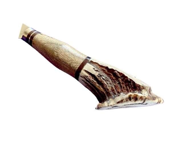 Authentic, Handmade Rugged Gaucho Knife with Genuine Staghorn Handle and Argentine Walnut Hardwood Handle and Stainless Steel Blade - Image 4