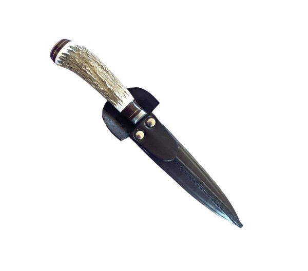 14cm Schmieden Stainless Steel Gaucho Knife with Stag Horn Handle - CUCA178/15 - Image 2
