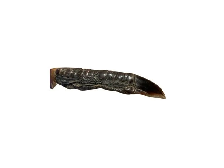 Genuine Rhea Toe, Nandu Gaucho Knife - Image 3