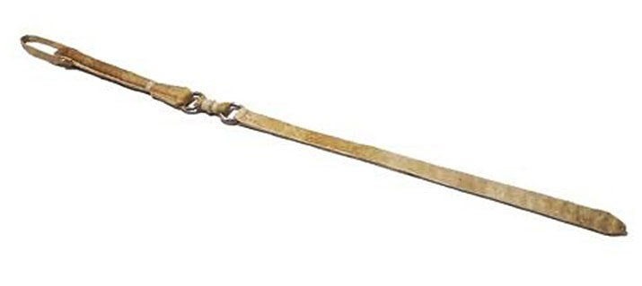 Riding whip equestrian
