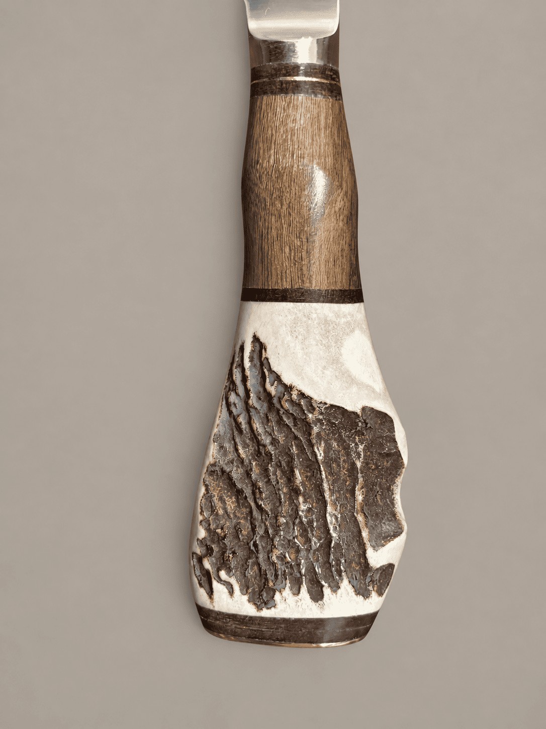 Vertical close-up of a gaucho knife handle with fine-grained brown hardwood, ivory staghorn and dark natural ridges.