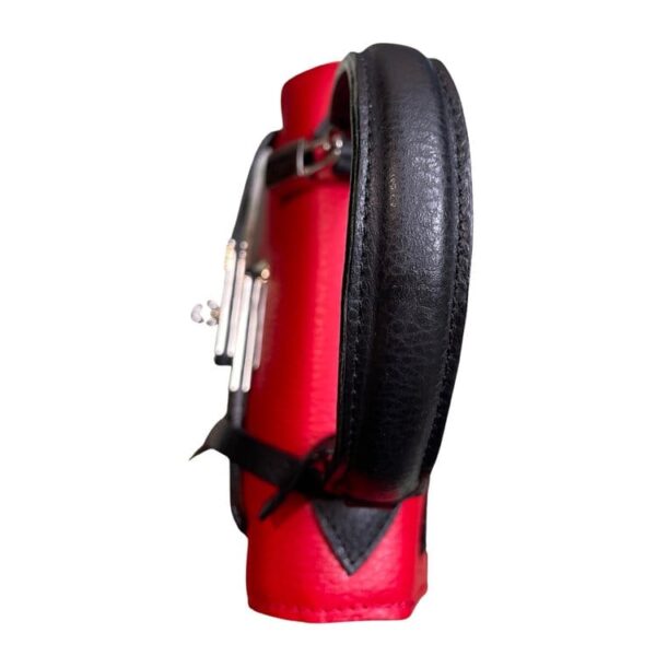 Genuine Argentine Cowhide Leather, Mini Kelly-Styled Bag, Handmade in Stunning Red Leather with Black Accents -  P/5928-Roma - Image 3